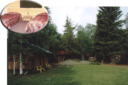 piclod1